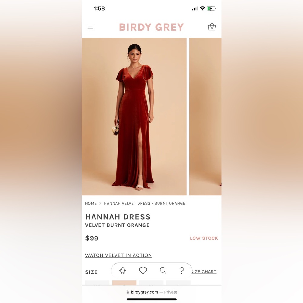 Birdy Greg Hannah Velvet Dress - Burnt Orange size Large